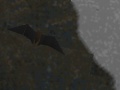 Bat tr1.jpg